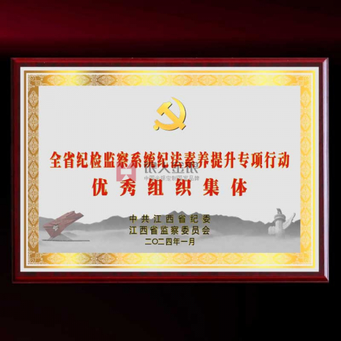 中共X省紀(jì)委監(jiān)委優(yōu)秀組織獎牌定制